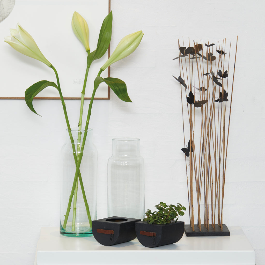 Set of 2 Clear Vases