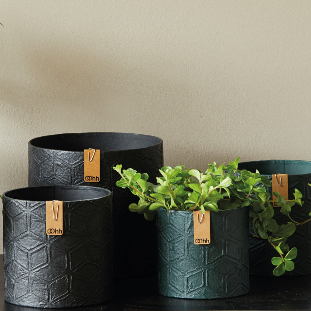 Graphic Paper Pot