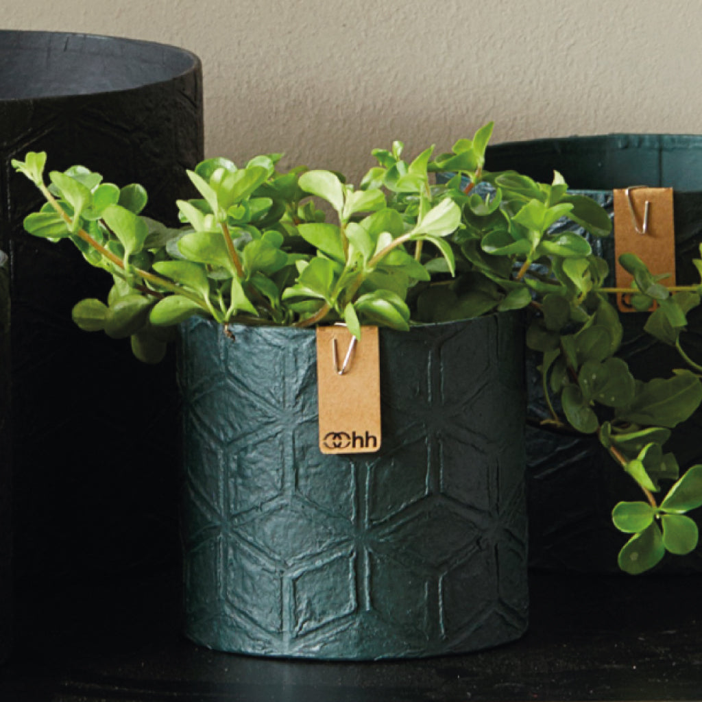 Graphic Paper Pot