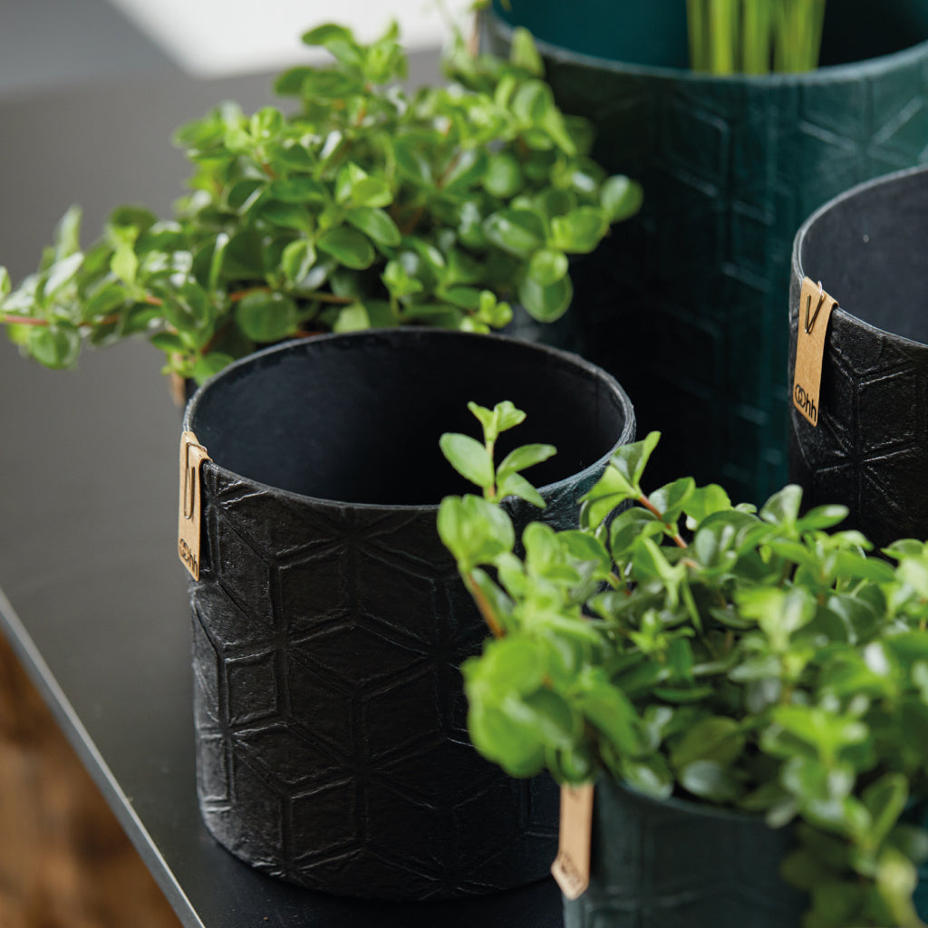 Graphic Paper Pot