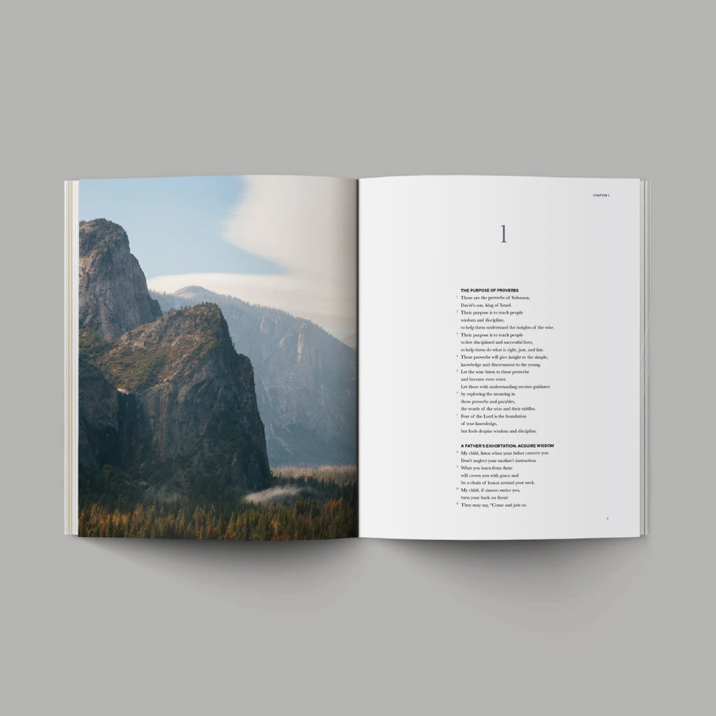 The Book of Proverbs