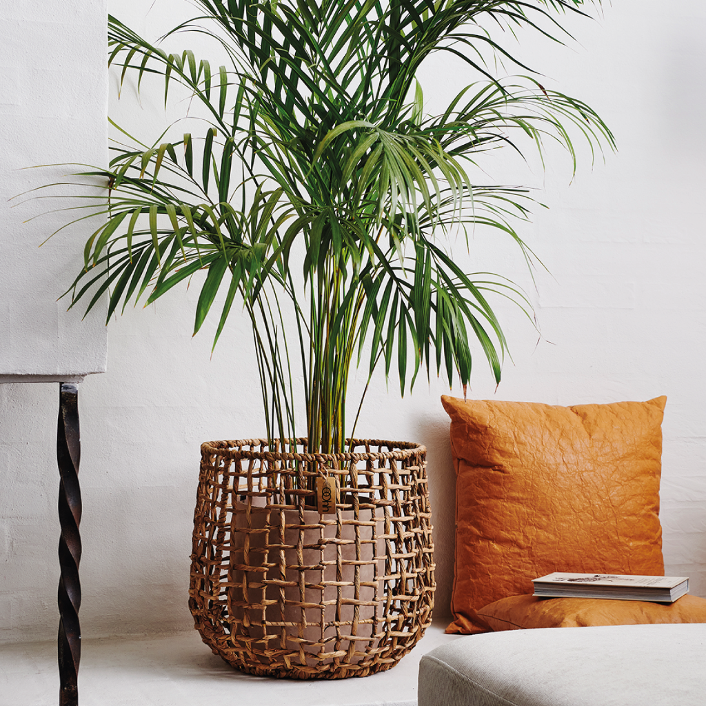 Water Hyacinth Baskets