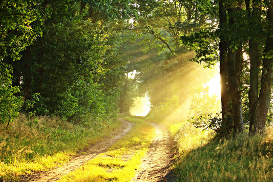 Things are Set to Get Brighter