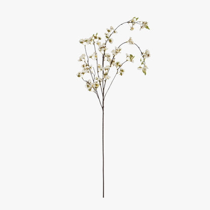 White Japanese Blossom
