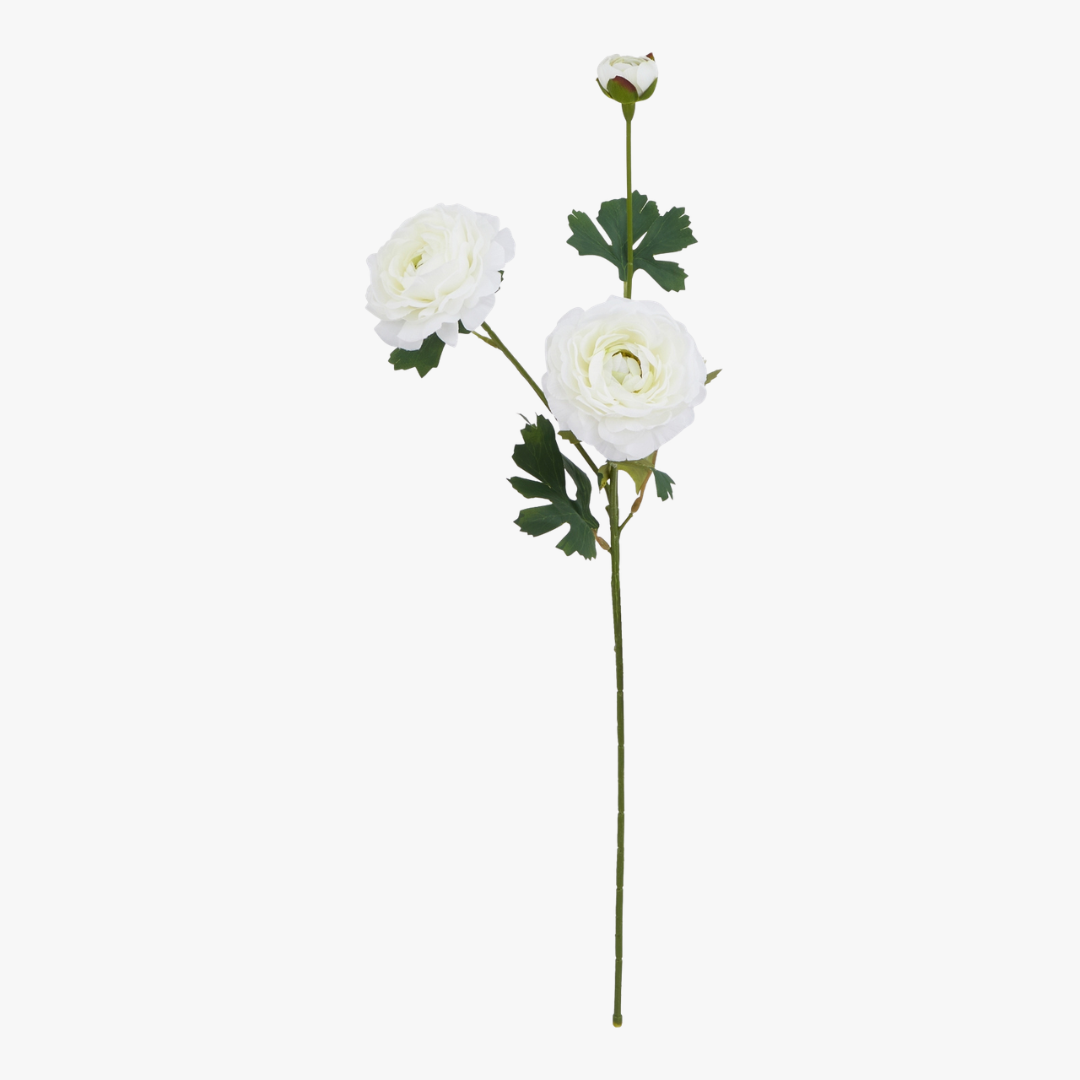 White Ranunculus Spray