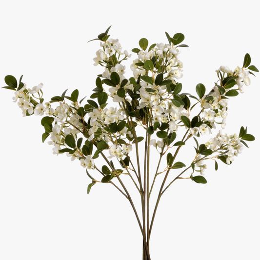 White Mock Orange Flower Spray