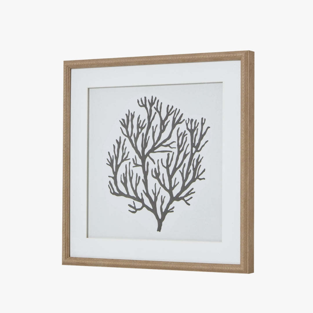 Atol Coral Art Mounted In Beaded Frame