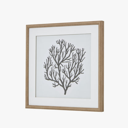 Atol Coral Art Mounted In Beaded Frame