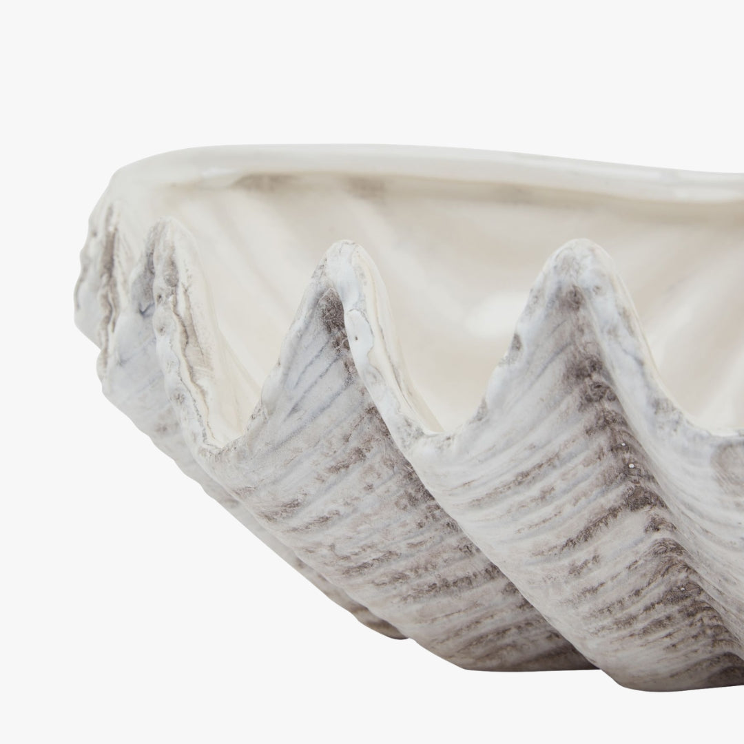 Siren Medium Ceramic Shell Bowl