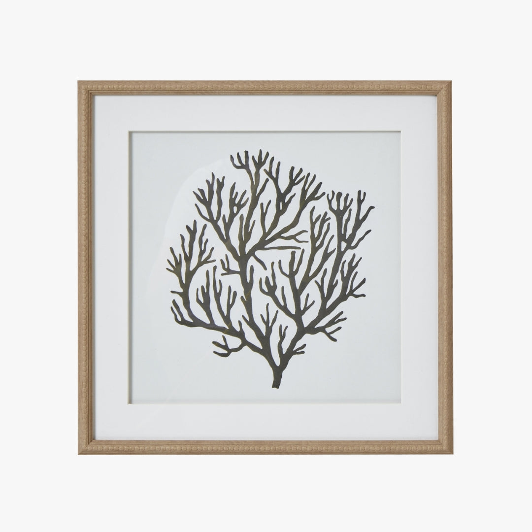 Atol Coral Art Mounted In Beaded Frame