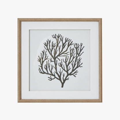 Atol Coral Art Mounted In Beaded Frame