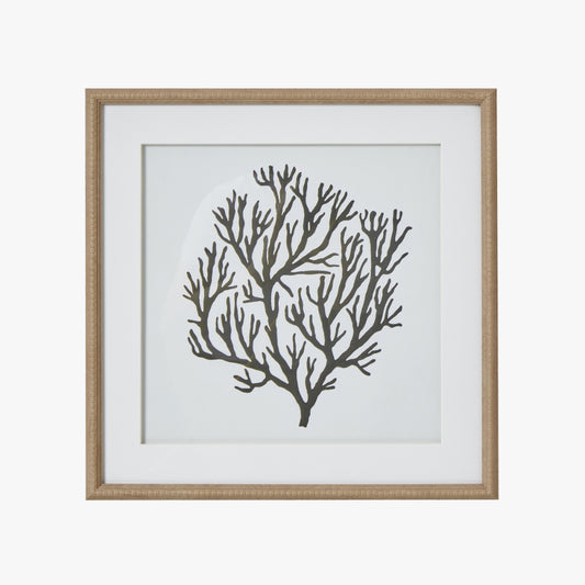 Atol Coral Art Mounted In Beaded Frame
