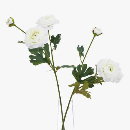 White Ranunculus Spray
