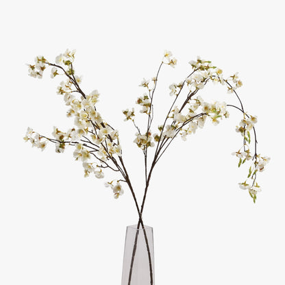 White Japanese Blossom