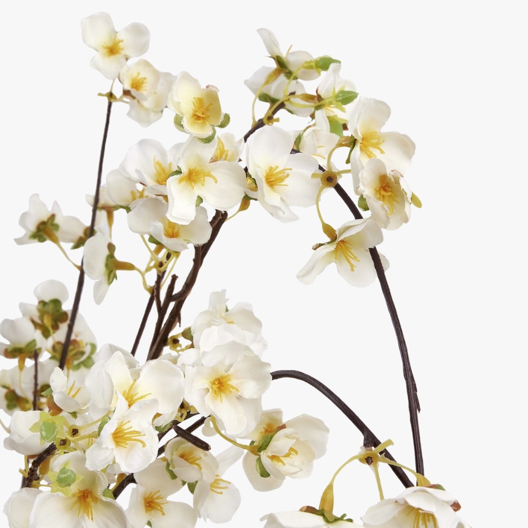 White Japanese Blossom