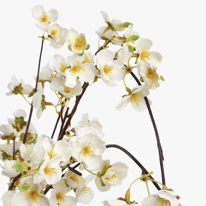 White Japanese Blossom