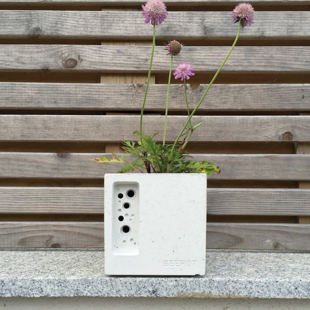 Beepot Mini – Ivy Brown Lifestyle Limited