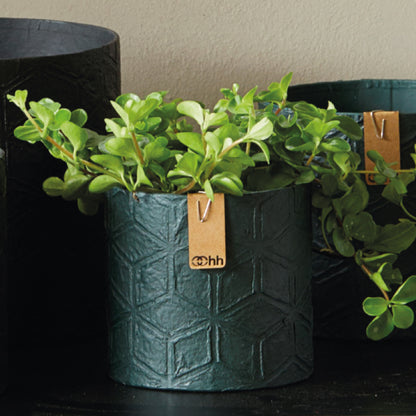 Graphic Paper Pot