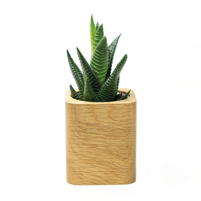 Wooden Succulent Planter - Oak